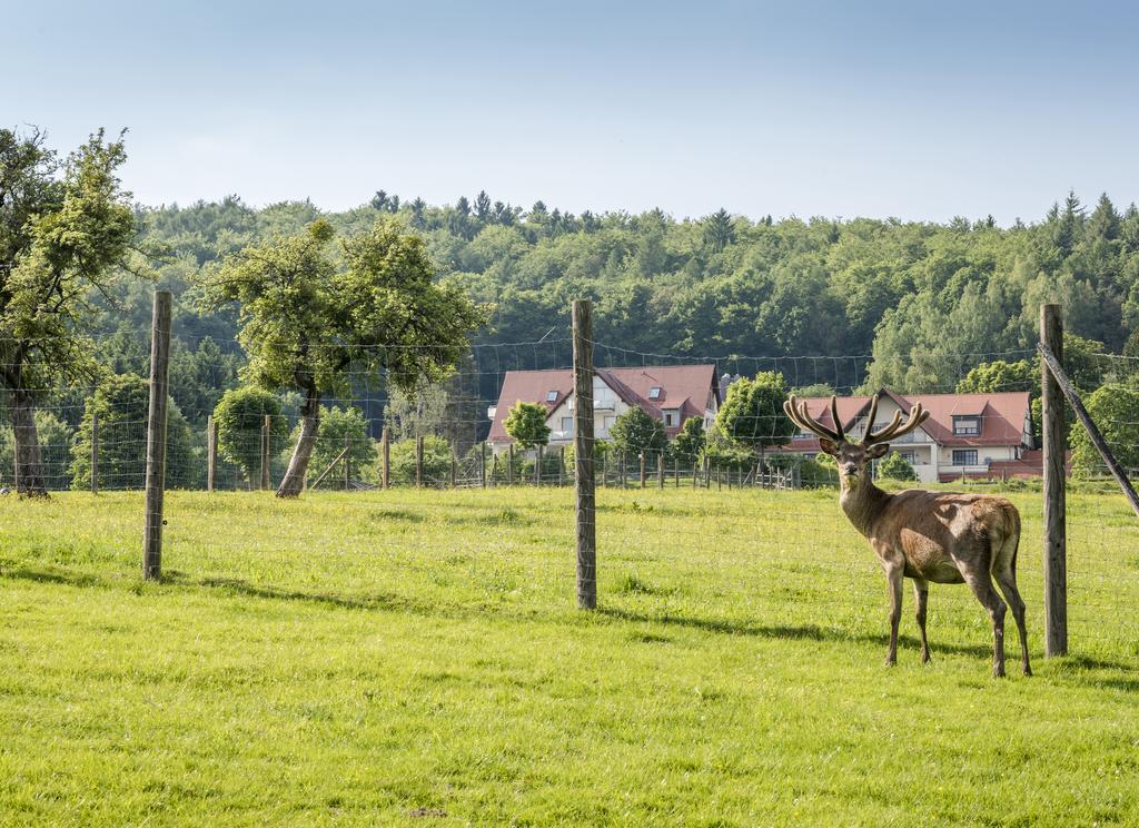 Hotel Heimathenhof 4*