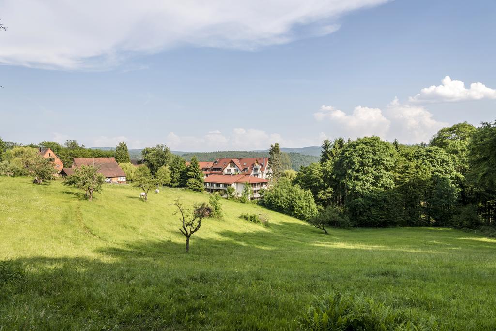 Hotel Heimathenhof Heimbuchenthal